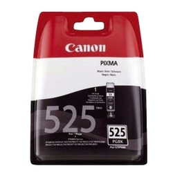 Canon Inkjet-Druckpatronen schwarz, 323 Seiten, 4529B001