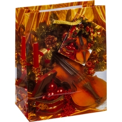 TSI 12er Pack Geschenktüte klein ca. 11 x 6,5 x 14 cm Weihnachten SERIE 7