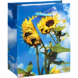 TSI 12er Pack Geschenktüte klein ca. 11 x 6,5 x 14 cm BLUMENMIX