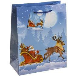 TSI 12er Pack Geschenktüte mittel ca. 18 x 10 x 23 cm Weihnachten KINDER