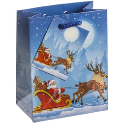 TSI 12er Pack Geschenktüte klein ca. 11 x 6,5 x 14 cm Weihnachten KINDER