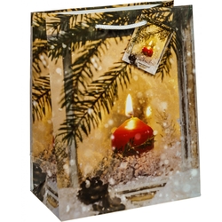 TSI 12er Pack Geschenktüte klein ca. 11 x 6,5 x 14 cm Weihnachten SERIE 10