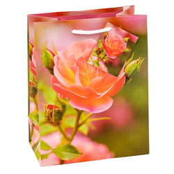 TSI 12er Pack Geschenktüten klein 11 x 6,5 x 14 cm ROSEN Geschenktaschen aus Papier Geschenkverpackung für viele Anlässe