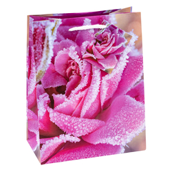 TSI 12er Pack Geschenktüten klein 11 x 6,5 x 14 cm ROSEN Geschenktaschen aus Papier Geschenkverpackung für viele Anlässe