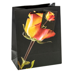 TSI 12er Pack Geschenktüten mittel 18 x 10 x 23 cm ROSEN Geschenktaschen aus Papier Geschenkverpackung für viele Anlässe