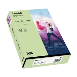 TECNO Multifunktionspapier tecno® colors - A4, 120 g/qm, mittelgrün, 250 Blatt