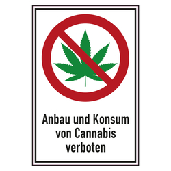 Verbot Zeichen Anbau und Konsum von Cannabis verboten Kombischild