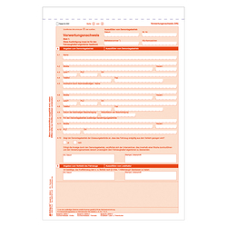 Verwertungsnachweis (VN) nach §15 FZV Trennsatz mit Eindruck Seite 1+2 je 100 Satz