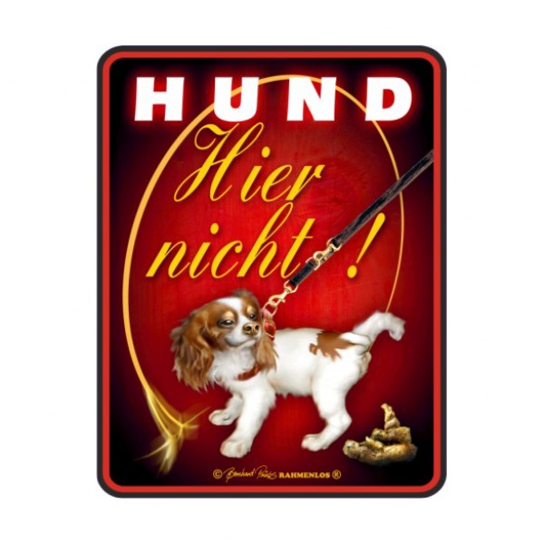 Blechschild mit Motiv/Spruch &quot;Hund hier nicht&quot;, 7,97