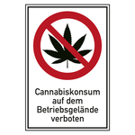Verbotsschild Cannabiskonsum auf dem Betriebsgelände verboten Kombischild