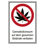 Verbotsschild Cannabiskonsum auf dem gesamten Gelände verboten Kombischild