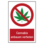 Verbotsschilder Cannabis anbauen verboten Kombischild Kunststoff 400 x 600 mm Einzelschild